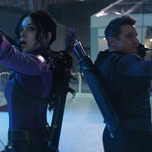 Foto Gavião Arqueiro