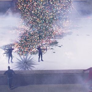 Foto Gavião Arqueiro