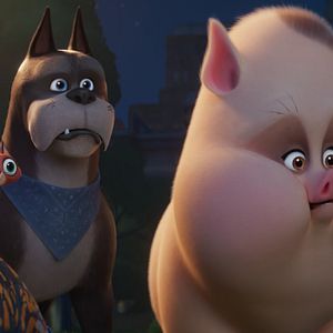 Foto DC Liga Dos Super Pets