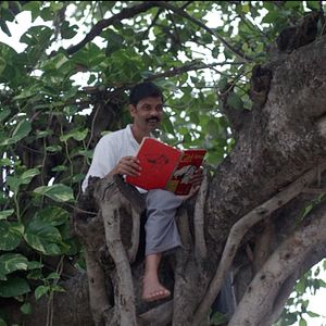 Foto Shankar's Fairies