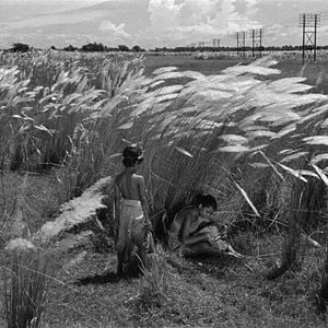 Foto A Canção Da Estrada