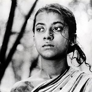 Foto A Canção Da Estrada