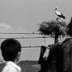 Foto A Pequena Cidade