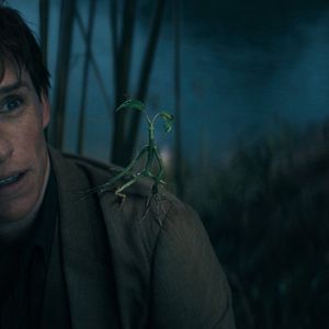 Foto Eddie Redmayne