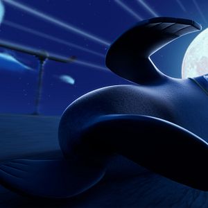 Foto Companhia das Focas