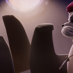 Foto Companhia das Focas