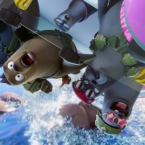 Foto Companhia das Focas