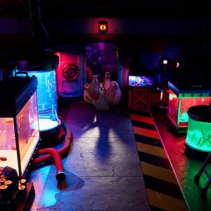 Foto Companhia das Focas