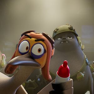 Foto Companhia das Focas