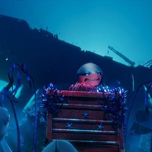 Foto Companhia das Focas