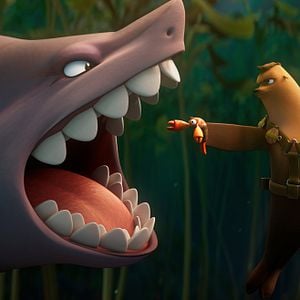 Foto Companhia das Focas