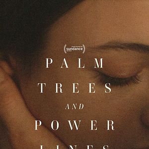 Foto Palm Trees and Power Lines