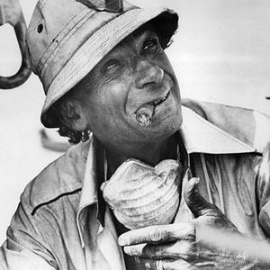 Foto Samuel Fuller, Cineasta Independente