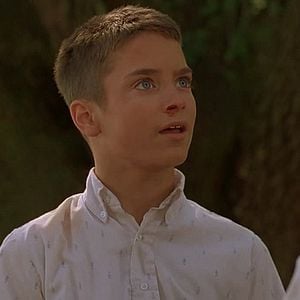 Foto A Árvore dos Sonhos