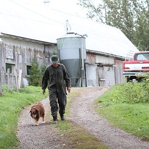 Foto Le Démantèlement