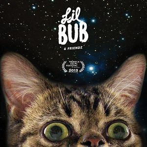 Foto A Gatinha Lil Bub e seus Amiguinhos