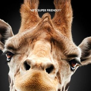 Foto Se Beber, Não Case! Parte III