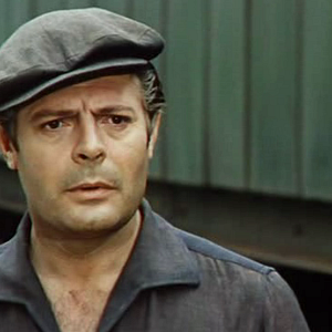 Foto Os Girassóis da Rússia