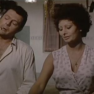 Foto Os Girassóis da Rússia