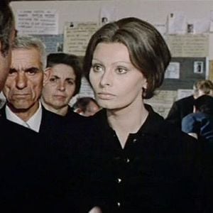 Foto Os Girassóis da Rússia