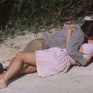 Foto Os Girassóis da Rússia