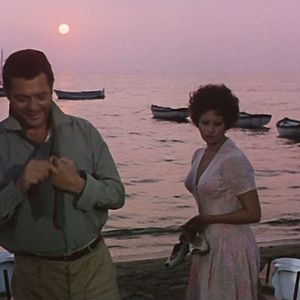 Foto Os Girassóis da Rússia