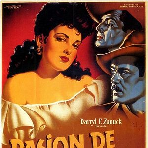 Foto Paixão dos Fortes