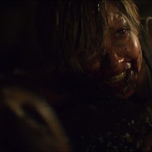 Foto Adorável Molly