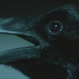 Foto Terror na Ópera