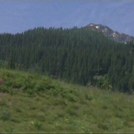 Foto Terror na Ópera