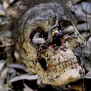 Foto Holocausto Canibal