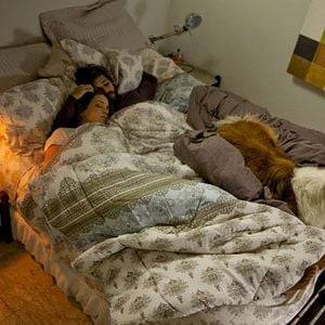 Foto Mato Sem Cachorro