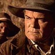 Foto Sombras de Julho