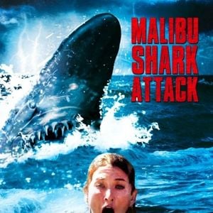 Foto Tubarão de Malibu