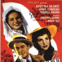 Foto Tico-Tico no Fubá