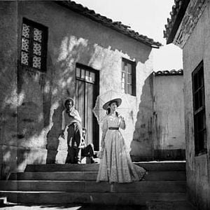 Foto Tico-Tico no Fubá