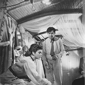 Foto Tico-Tico no Fubá