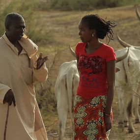 Foto Grand comme le Baobab