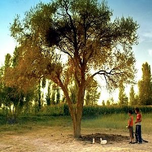 Foto Fly with the crane