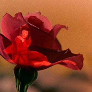 Foto O Pequeno Príncipe