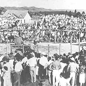 Foto Tristeza do Jeca