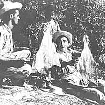 Foto Tristeza do Jeca