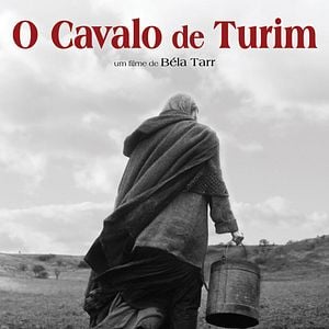 Foto O Cavalo de Turim