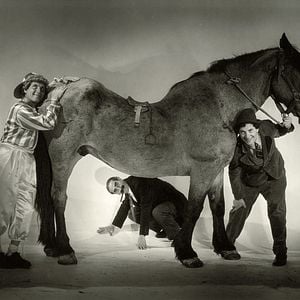 Foto Um Dia nas Corridas