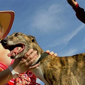 Foto Sem Dor, Sem Ganho