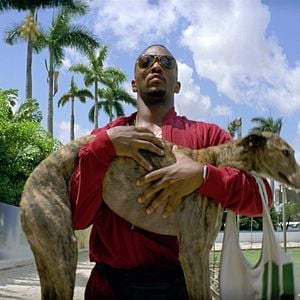 Foto Sem Dor, Sem Ganho