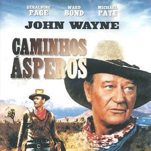 Foto Caminhos Ásperos