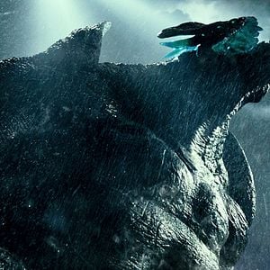 Foto Círculo de Fogo