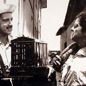 Foto Zé do Periquito