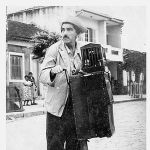 Foto Zé do Periquito